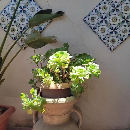 La Terrazza Διαμέρισμα Παλέρμο